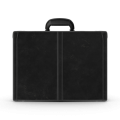 statut-pro